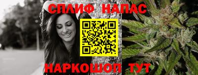 ешки Моздок