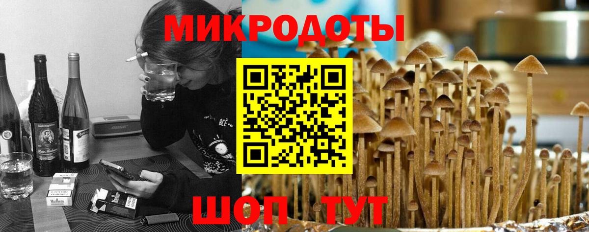 цены   Вход с VPN  Шелехов  Псилоцибиновые грибы Psilocybine cubensis 